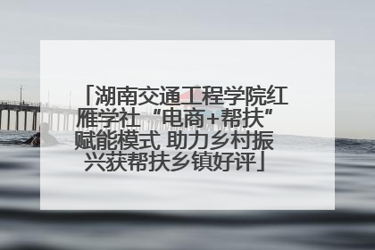 湖南交通工程学院红雁学社“电商+帮扶”赋能模式 助力乡村振兴获帮扶乡镇好评